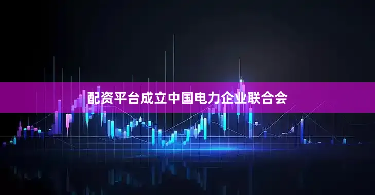 配资平台成立中国电力企业联合会